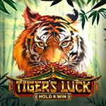 Tiger`s Luck - Hold & Win